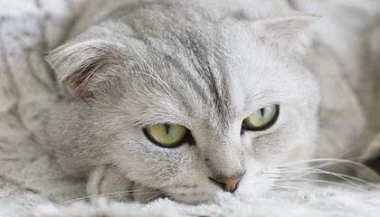 星空平台-开云体育官网：让热爱赛场的人与胜负更近一步