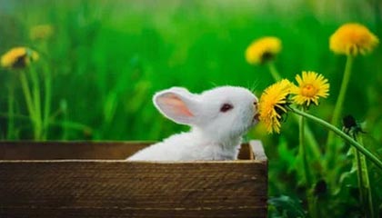 星空-云开体育：让云端点亮体育的未来